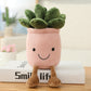 Decorative toy plant plush bookshelf decoration Creative flower pot girl gift