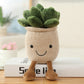 Decorative toy plant plush bookshelf decoration Creative flower pot girl gift