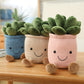 Decorative toy plant plush bookshelf decoration Creative flower pot girl gift