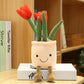 Decorative toy plant plush bookshelf decoration Creative flower pot girl gift