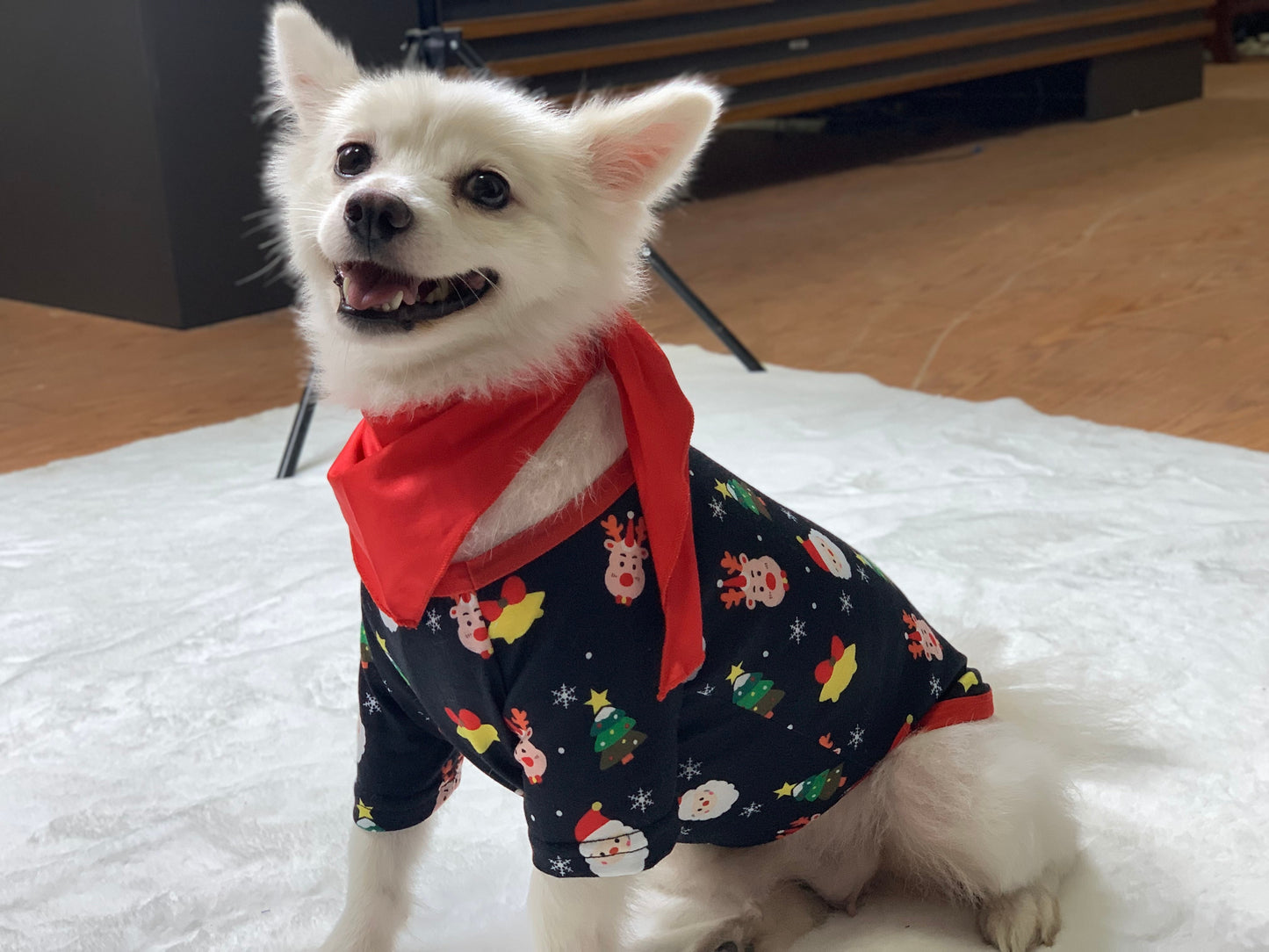 Christmas Family pajamas  Christmas baby jumpsuit + dog suit